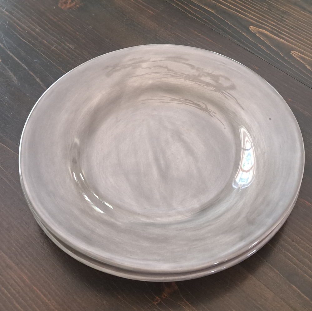 Pottery Barn Sausalito Dinner Plate Set of 2